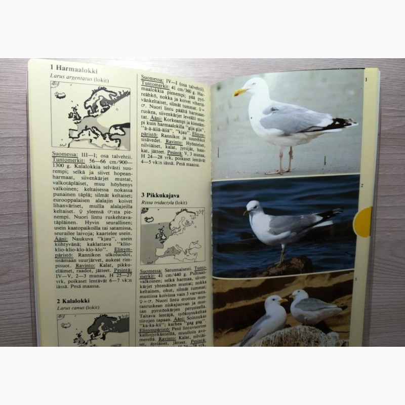 Фото 9. Определитель птиц Финляндия 1986 год