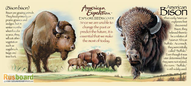 Фото 5. Кружка керамическая American Bison (American Expedition)