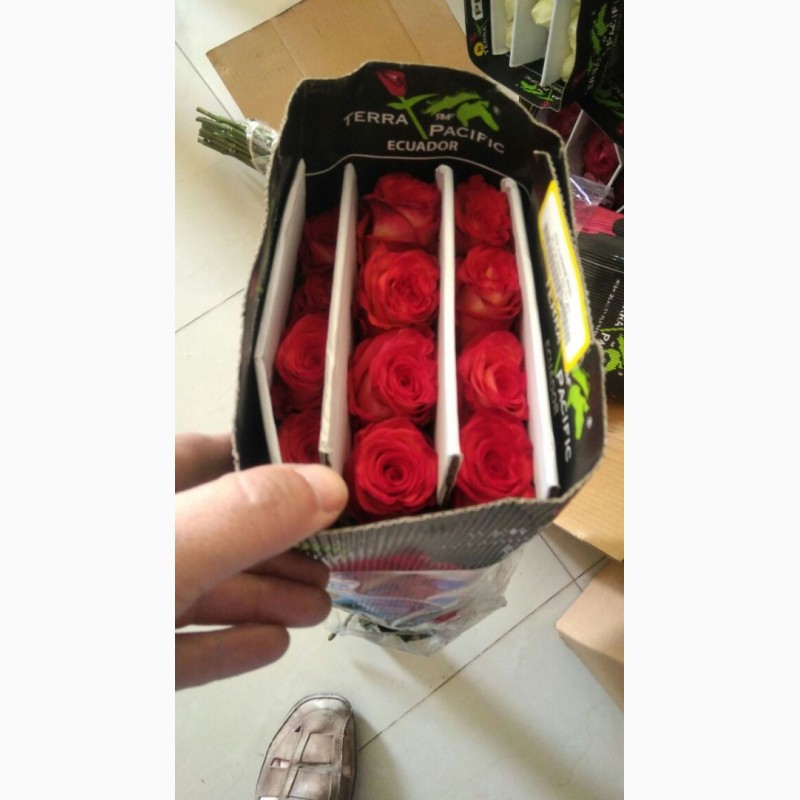 Фото 1/3. Предлагаем Эквадорскую розу Топаз Оптом напямую от производителя от 1 Коробки