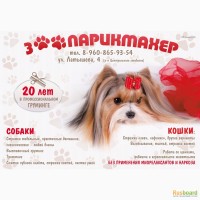 Стрижка собак и кошек в Астрахани. Профессиональный грумер