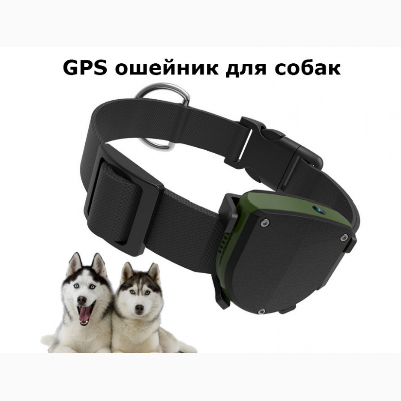 Фото 2. Водонепроницаемый GPS ошейник для собак