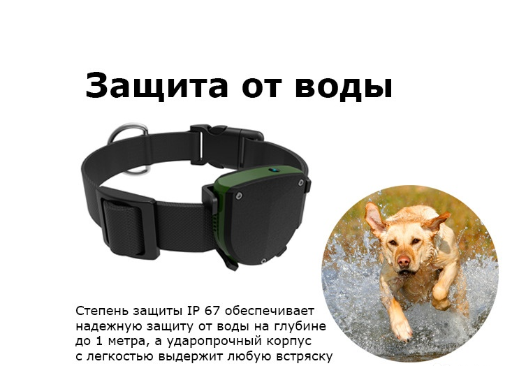 Фото 5. Водонепроницаемый GPS ошейник для собак