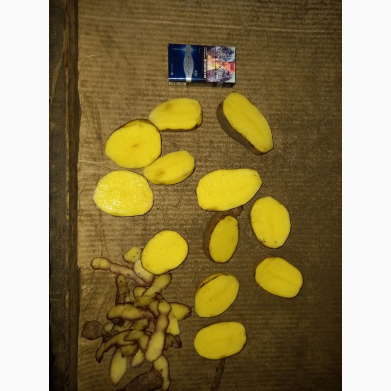 Фото 4. Картофель 5+ оптом от производителя от 23руб/кг
