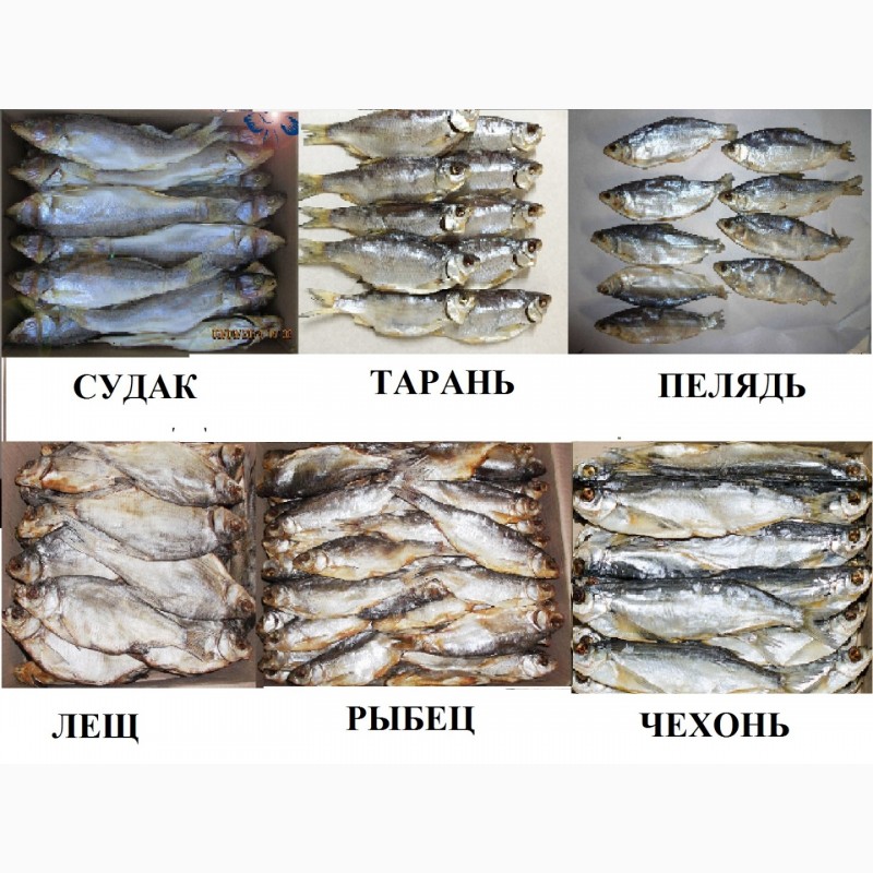 Фото 7. Сушеные морепродукты, вяленая, сушеная рыба, рыбные снеки, закуски к пиву оптом