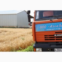 Перевалка зерна в Азове