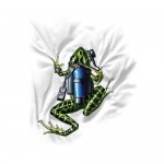 Футболка Amphibious Outfitters Scuba Frog