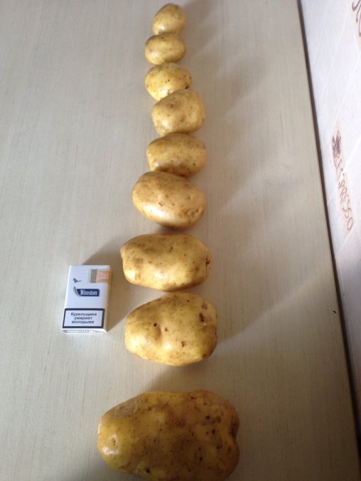 Фото 5. Купим картофель урожай 2018 года