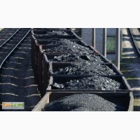 Оптовые продажи угля каменного, топливного угольного брикета