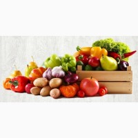 ООО«САНТИНА» фрукты, овощи оптом