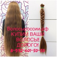 Купим Ваши волосы в Краснодаре! ДОРОГО