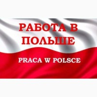 Как же отыскать работу в Польше