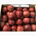 Продаем яблоки отптом 29 руб