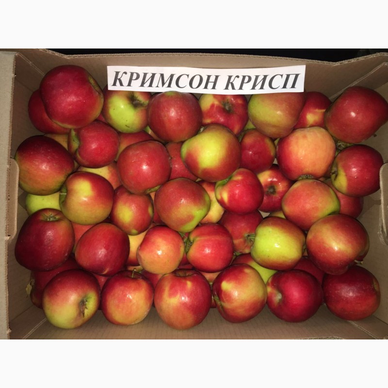Фото 3. Продаем яблоки отптом 29 руб