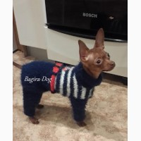 Вязаная одежда для собак