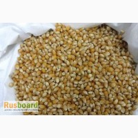 Зерно кукурузы для приготовления попкорна, Премиум