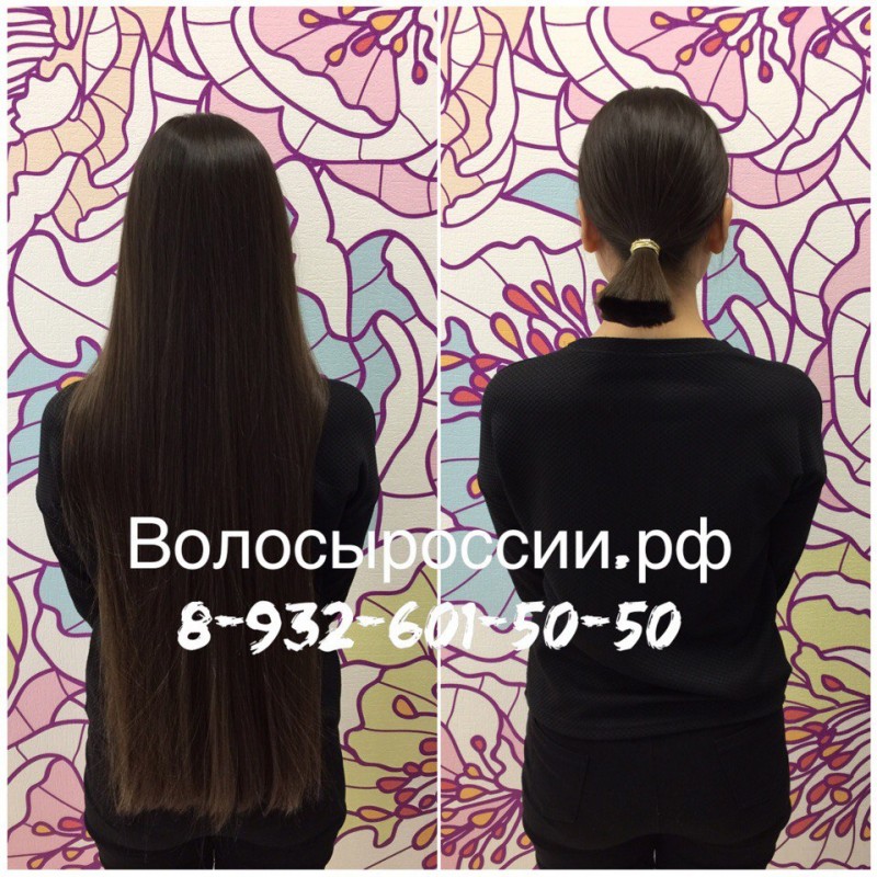 Фото 2. Купим Ваши волосы в Ярославле очень дорого