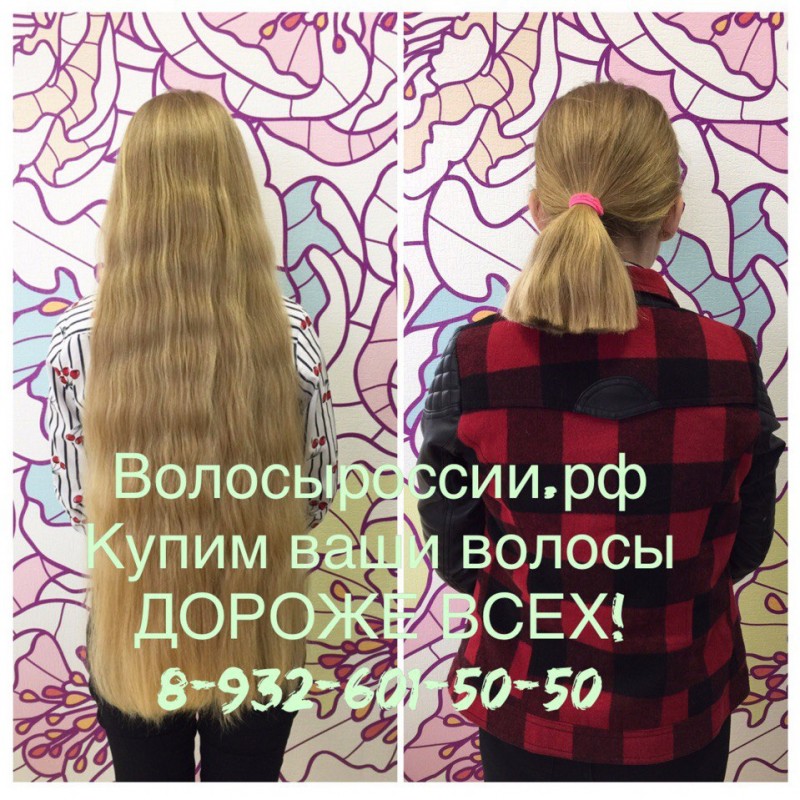 Фото 3. Купим Ваши волосы в Ярославле очень дорого
