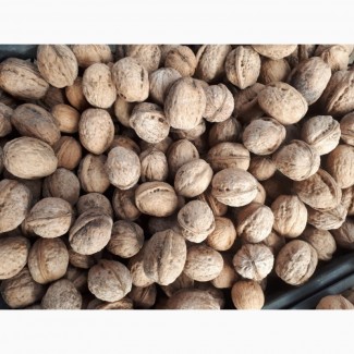 Продам грецкие орехи, урожай 2017 года