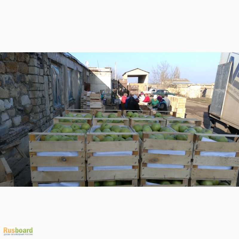 Фото 4. Крым.Деревянные ящики из шпона для упаковки фруктов и овощей